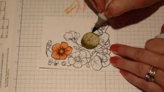 Copic Coloring Basics with Cindy Lawrence Guide