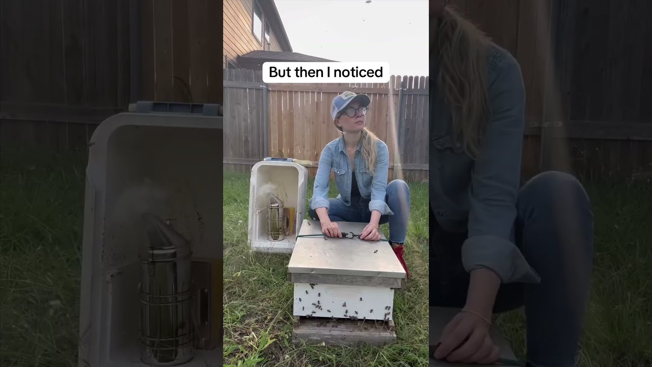 Catching A Swarm Of Bees