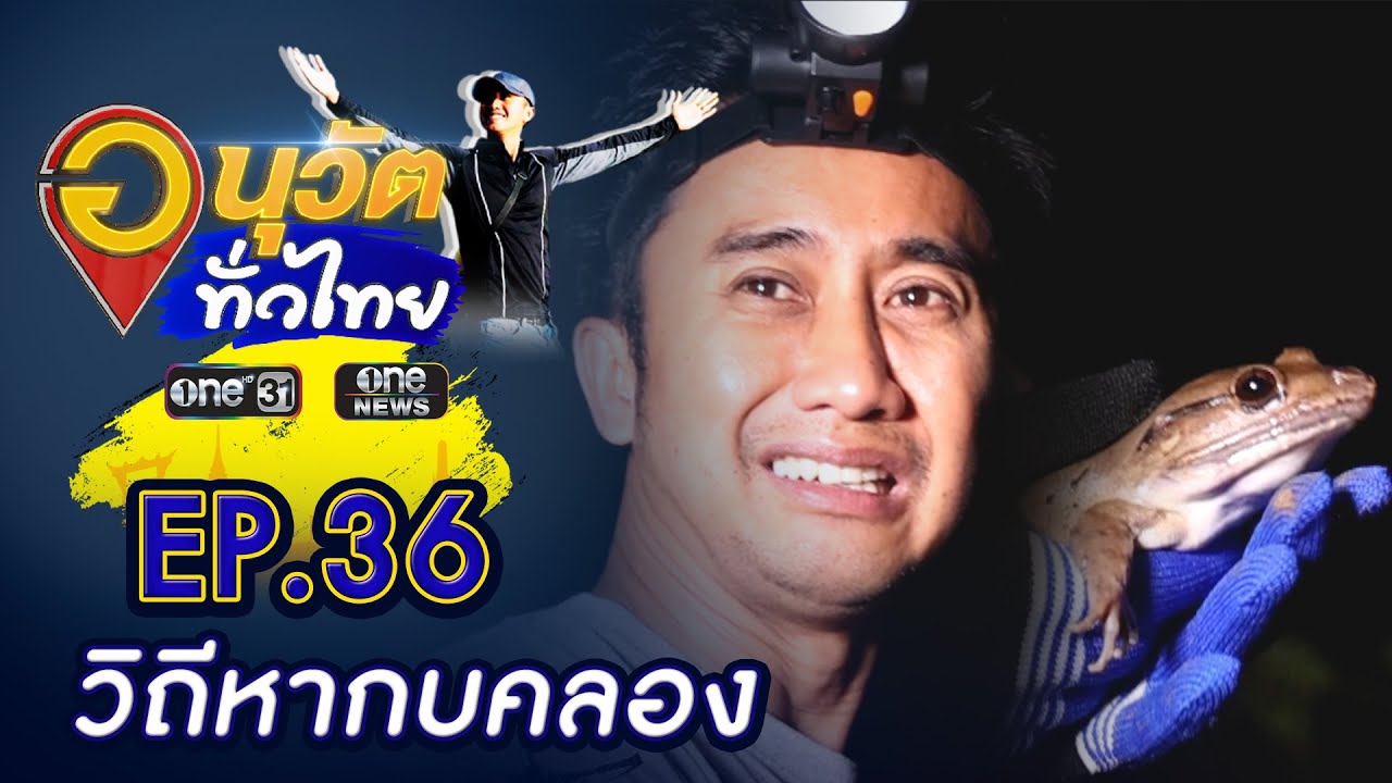 วิถีหากบคลอง - อะเมซิงถ้ำลอด | อนุวัตทั่วไทย | EP.36 | one31