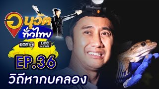 วิถีหากบคลอง - อะเมซิงถ้ำลอด | อนุวัตทั่วไทย | EP.36 | one31