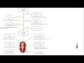 Red Rose: Ma Propre Version De Wine-Proton (Telechargement de Red-Rose-Proton-6.3-8 en description)