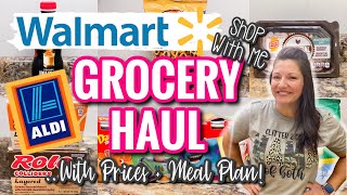 WALMART \& ALDI GROCERY HAUL | WALMART SHOP WITH ME | GROCERY HAUL WITH MEAL PLAN