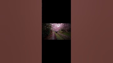 ‏تلاوة جميلة جدا للقارئ الشيخ ماهر المعيقلي #اكسبلور #المصحف #ماهر_المعيقلي #quran