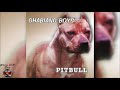Ghabiang boys  pitbull full album 2000
