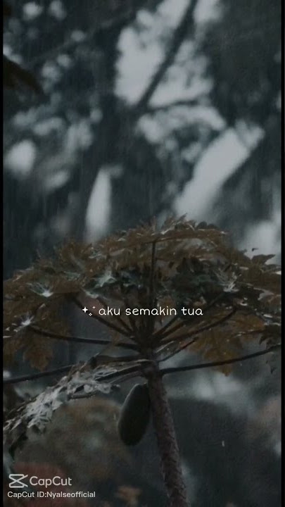 story'wa somewhere only we know#somewhereonlyweknow #jj #tiktok