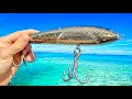 BIG LURE vs MONSTER FISH