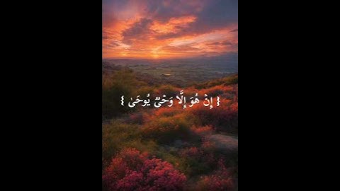 تلاوة قصيرة من سورة النجم  #حالات_واتساب #اكسبلور #اسلام #تلاوة_خاشعة #تلاوة_هادئة