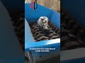 Industrial Waste Management with Twin Shaft Shredder #recyclingmachine