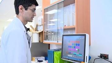 Small Wonders - Seahorse Analyzer