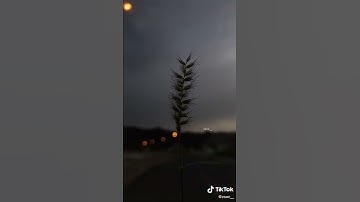 اللهم اجعل القران الكريم ربيع قلوبنا ونور ابصارنا 💛