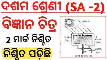 10th class sa2 life science drawing//10th class life science subjective question//10th class sa22023