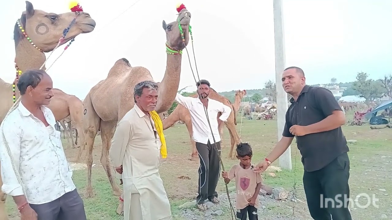 #डीडवाना