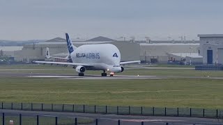 Beluga No.4 Landing at Hawarden Airport