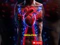 How to increase NITRIC Oxide in Body ❤️‍❤️‍ #foryou #nitricoxidebooster #viral