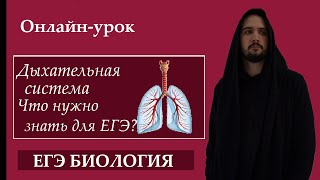 Дыхательная система. Легкие для ЕГЭ |ЕГЭ БИОЛОГИЯ|Freedom|