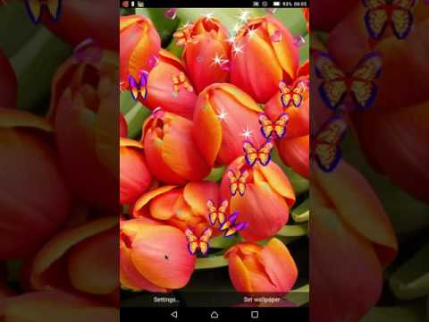 Tulip Live Wallpapers - Screen Lock, Sensor, Auto