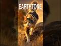 Relaxing music - Low Energy Today? Borrow This Cat’s Calm Strength
