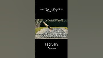 Your Birth Month is Your Pool AI ASMR | Part 1
