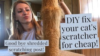 DIY Fix Your Cat’s Scratching Post  KESKINCELL