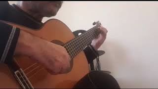 Study In C By Fernando Sor Played By Farzad Daneshmand