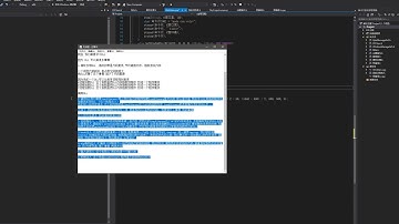 16 小林CVIP第16课编写DLL注入和调用的方式