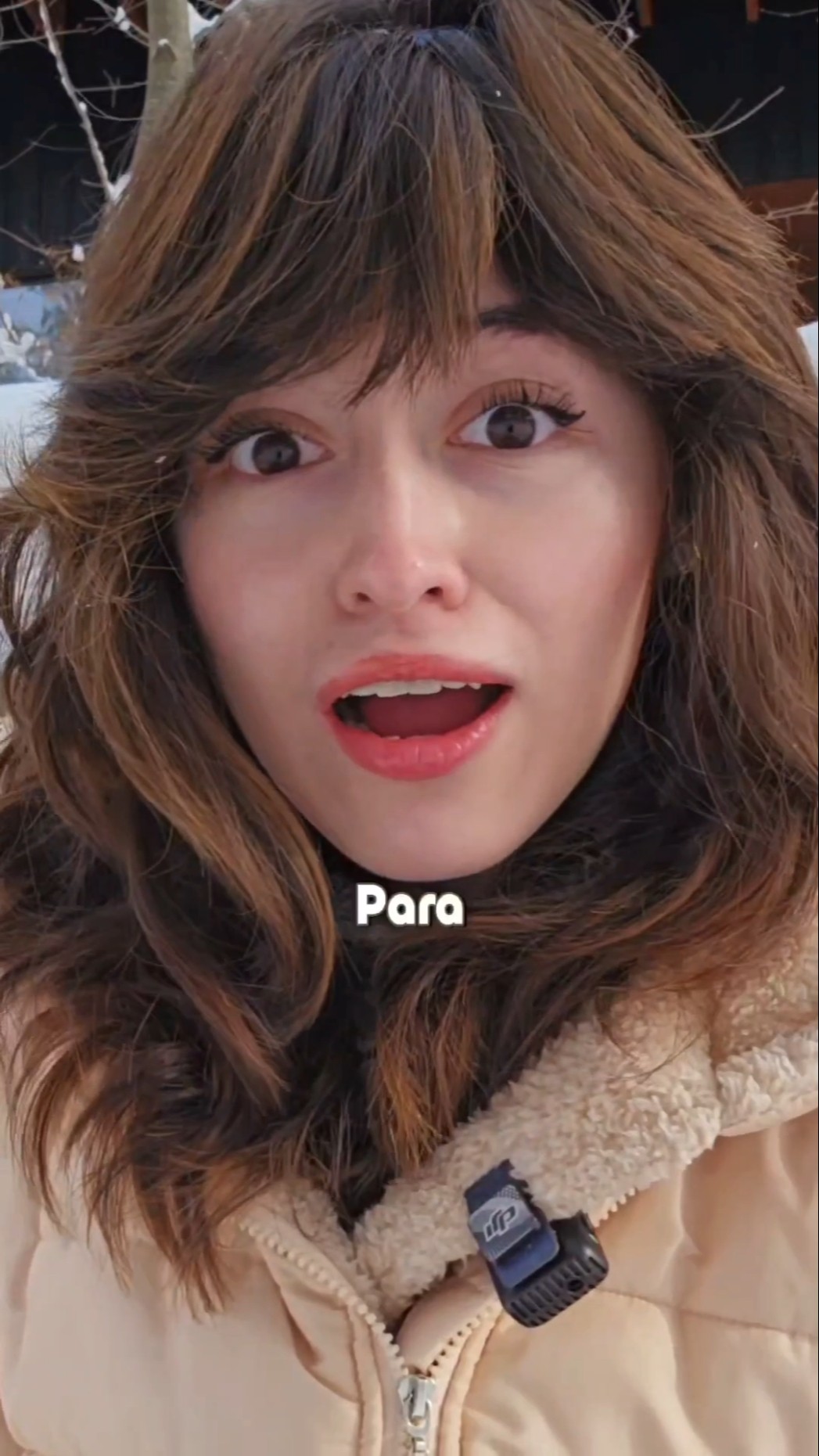 Los changos árticos | • Liza Baez •
