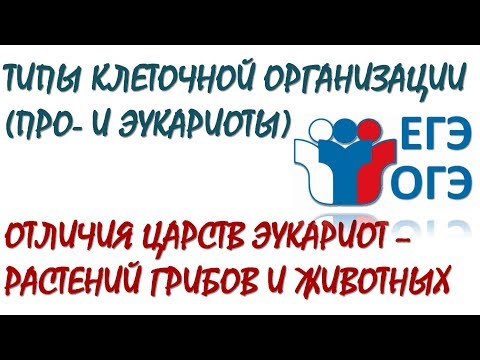 Типы клеточной организации. Отличия царств - Растений, Грибов, Животных