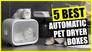 TOP 5: Best Automatic Pet Dryer Box 2024