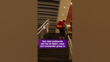 Omstander WORSTELT met TASSENDIEF op perron