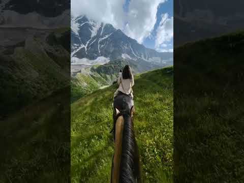🐎 Этот красивый
