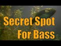 Infisherman classics finding summer bass secret spots