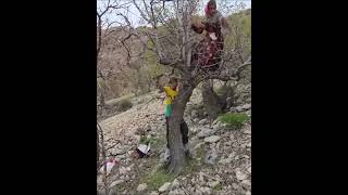 What Happened to #EP06 the ROSTA Family A Story of Nomadic Life #mmolife #momlife #iran #Iranian