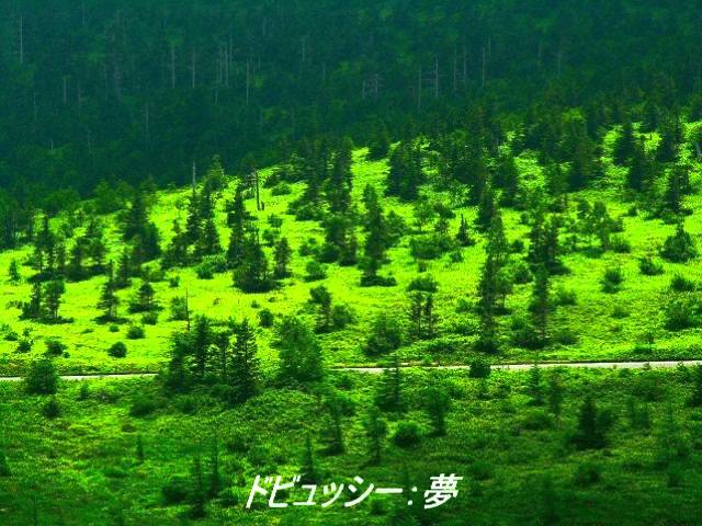 クラシック音楽 ドビュッシー：夢 - YouTube