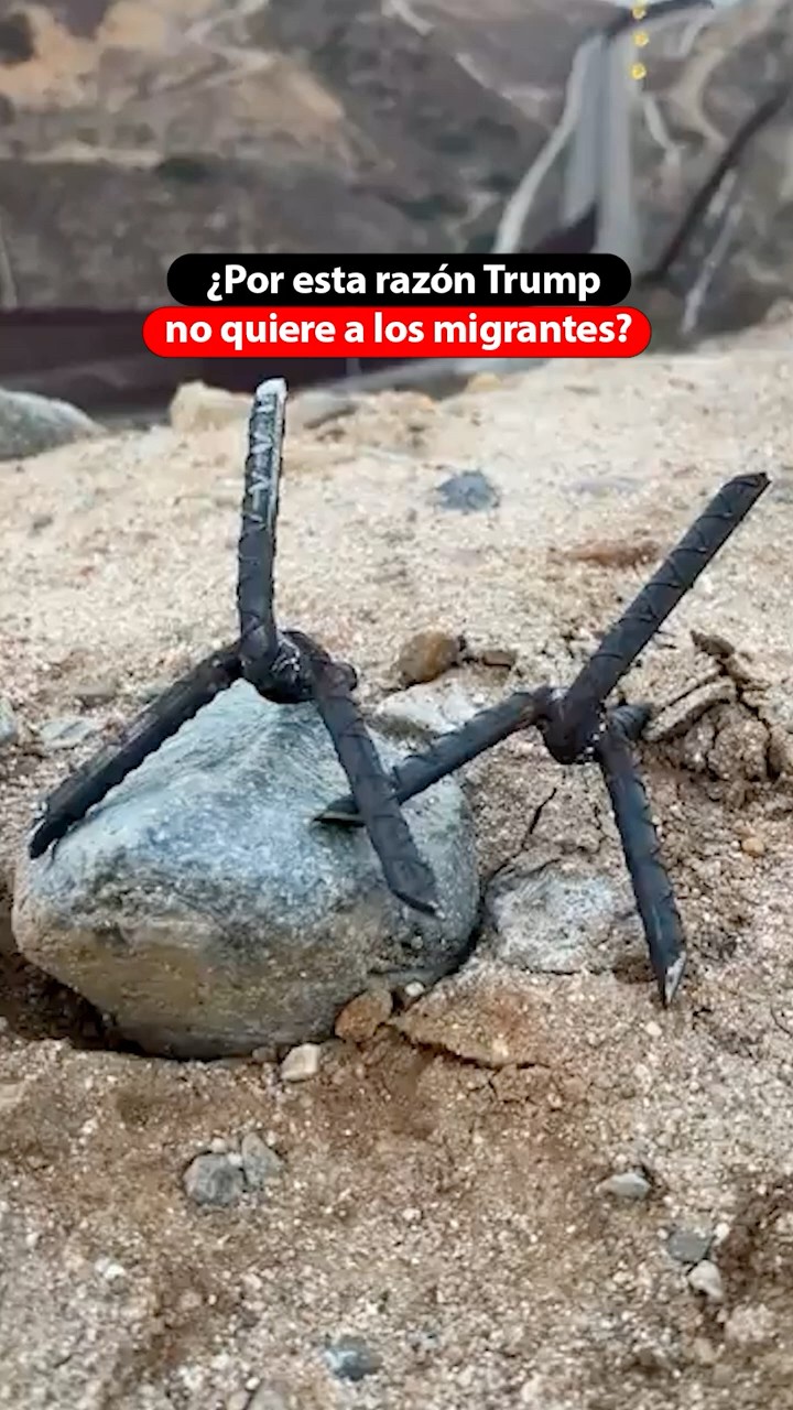 ¿Por esta razón Trump no quiere a los migrantes?