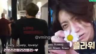 Jimin's 'Lovely ' and Jungkook's 'Flower'