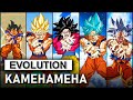 Kamehameha - Evolution (1993-2020)