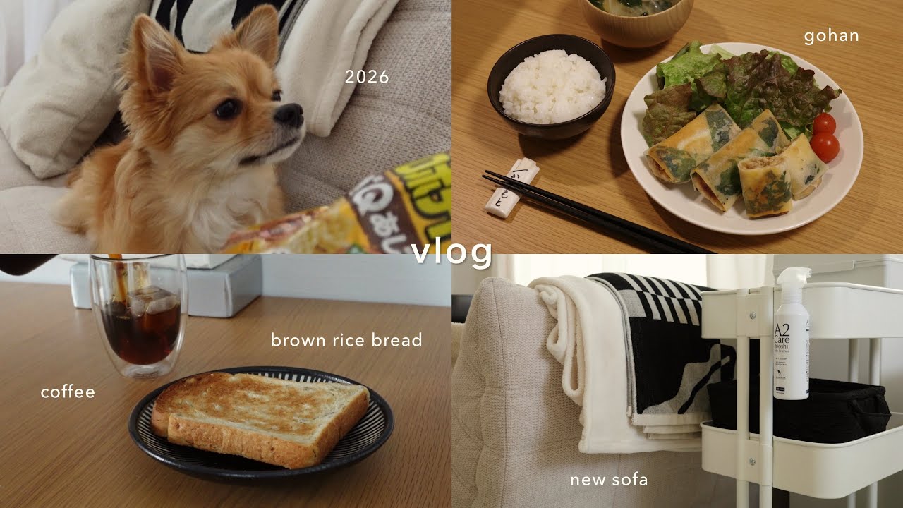 2026｜年が明けても変わらない日常｜パスタ , タコライス , 春巻き｜ 作って食べてを楽しむ日々｜新しいソファとサイドテーブル