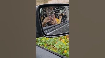 such a nice weather🍁🍂 #autumn #shorts #shortvideo #youtube #music #viral #video #video #viralvideo