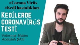 Kedi Koronavirüs Testi - Corona virus (fip) Evden Nasıl Temizlenir?