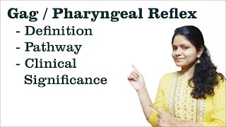 Gag/ Pharyngeal Reflex- Definition, Pathway, Clinical Significance I Neurophysiology I screenshot 3