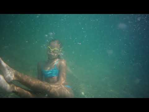 VdR2021 | Carte Blanche | ELITZA GUEORGUIEVA| NOTRE ENDROIT SILENCIEUX