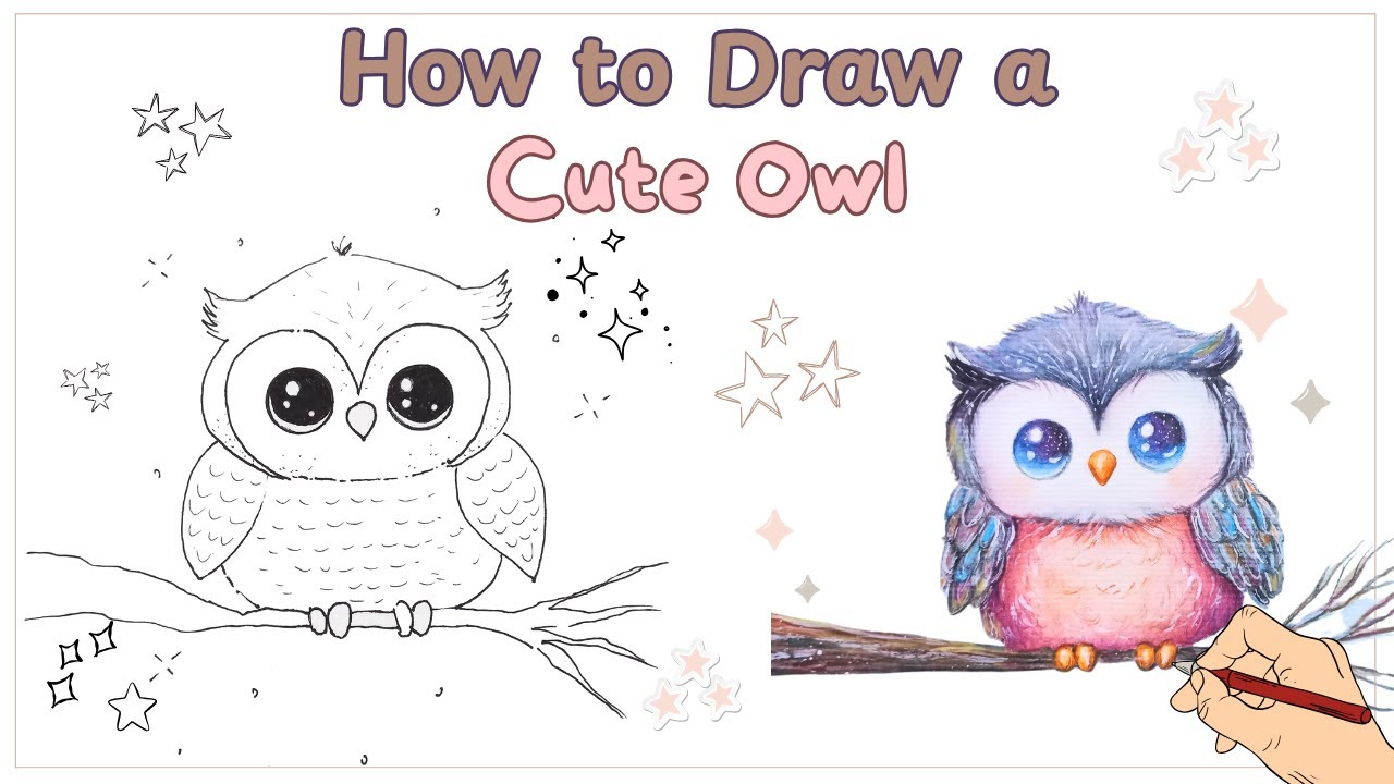 How to Draw a Cute Owl for Beginners