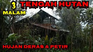3 MALAM TIDUR DI PONDOK TENGAH HUTAN HUJAN DERAS DAN PETIR WITH @EndiForest CAMPING IN HEAVY RAIN