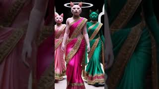 Crazy Cats Walking On Fashion Show In Saree