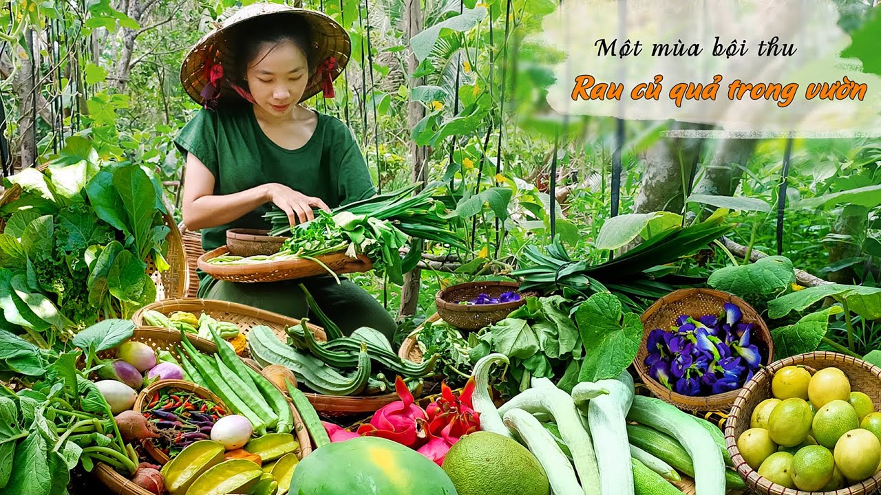 Cô Gái Bỏ Phố Về Quê Thu Hoạch Rau Củ Quả Trong Vườn Bội Thu | Harvest Vegetables |Quy Ẩn Điền Viên