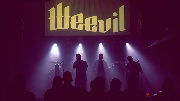 Weevil - Burn  (Official Video)