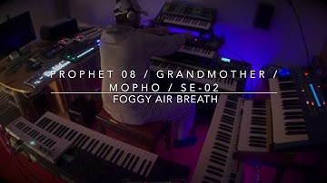 Prophet 08 / Grandmother / Mopho Ambient Jam "Foggy Air Breath"
