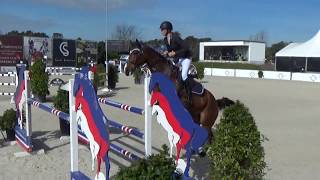 Korona van't Hoogeinde (Echo van't Spieveld x Darco x Kannen) 2010 CSI** Bonheiden