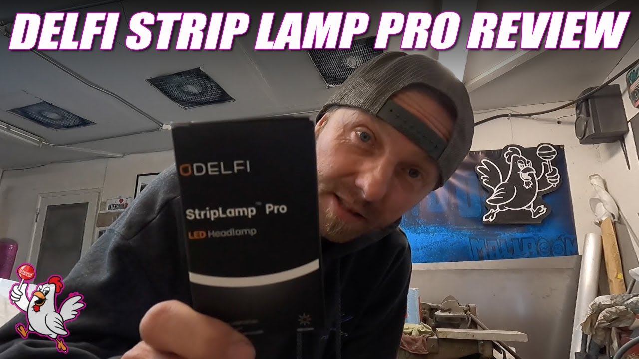 Delfi StripLamp Pro Review - YouTube