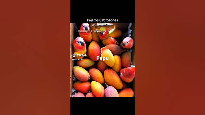 Pájaros sabrosones